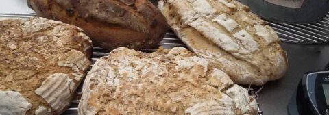 Brotbackseminar mit Adi Matzek und Jennifer Gruber - Gewinnerin 2019 Kruste&Krume